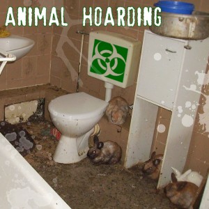 Animal Hoarding Cleanup