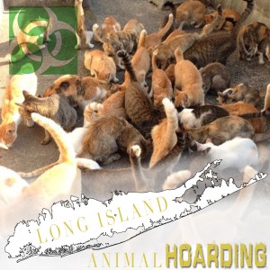 Long Island Animal Hoarding